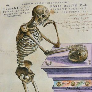 Rysunek szkieletu opartego jedną ręką o stół, drugą ręką podtrzymującego czaszkę